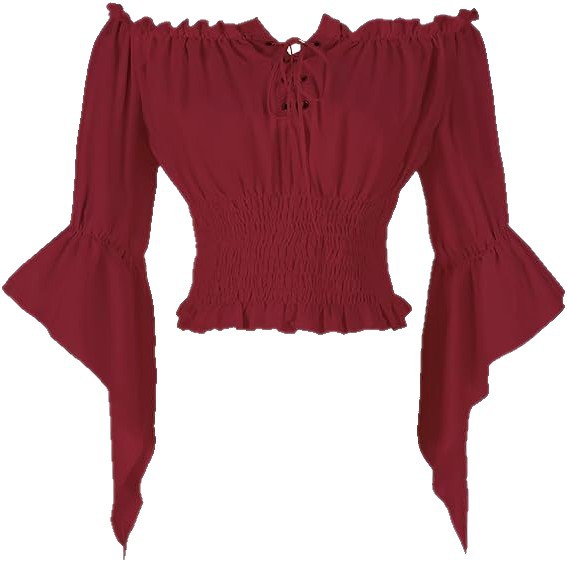 Renaissance Medieval Aristocra - Blouse Off Shoulder review and price